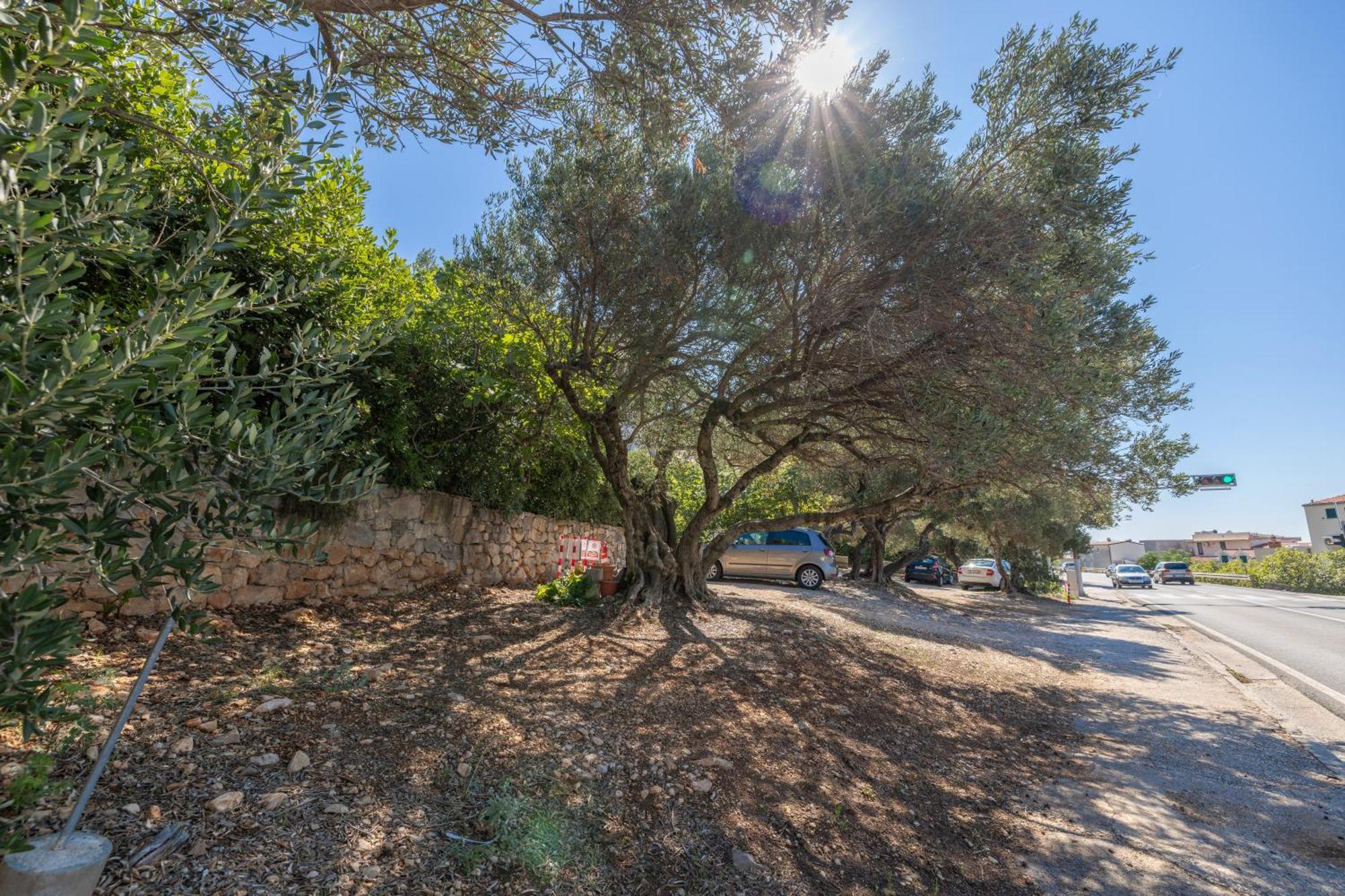 Apartmani Marta Tučepi Exterior foto